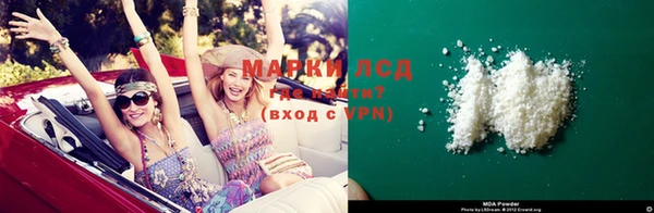 стафф Аркадак
