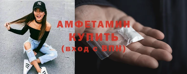 стафф Аркадак