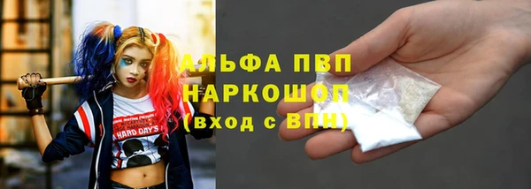 стафф Аркадак