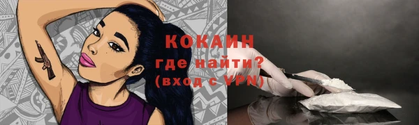 хмурый Осинники