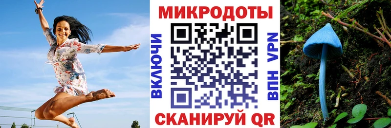 купить наркотики цена  Протвино  Галлюциногенные грибы мицелий 